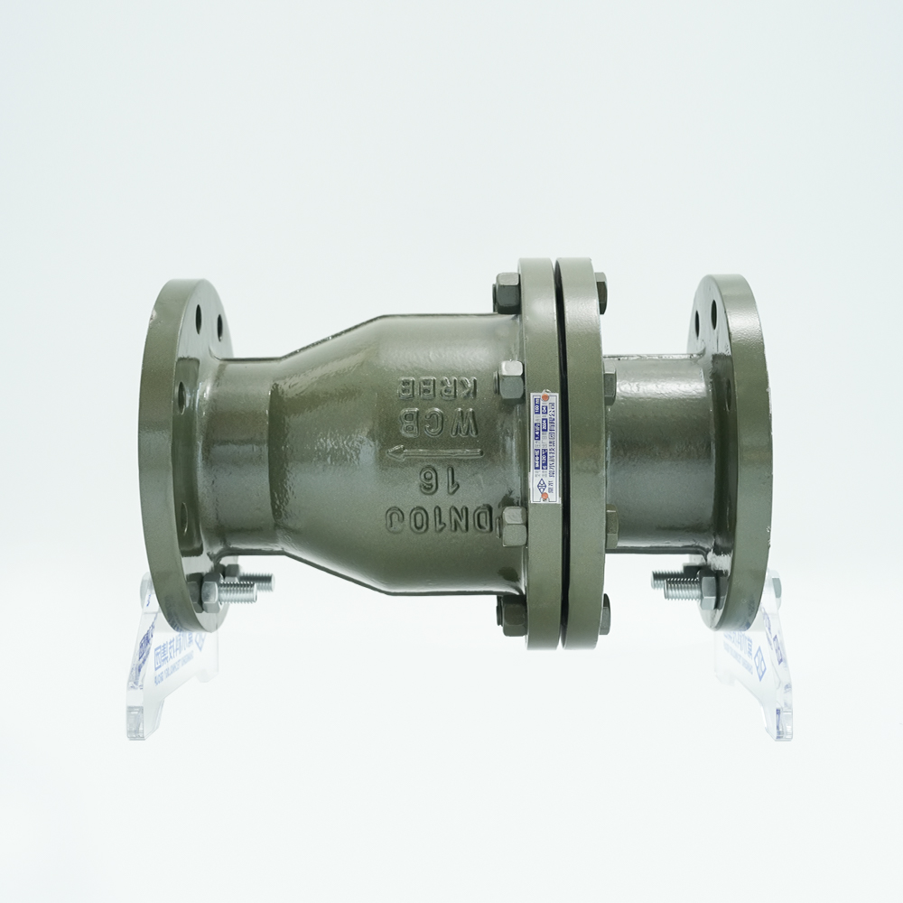 衬氟止回阀 H44F46-16C