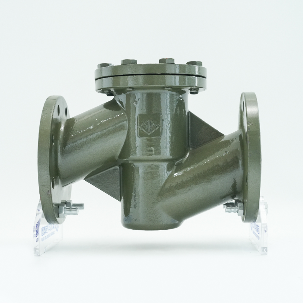 衬氟止回阀 H41F46-16C